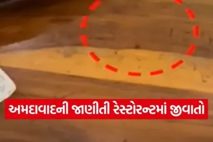 Ahmedabad restaurant hygiene violation 1