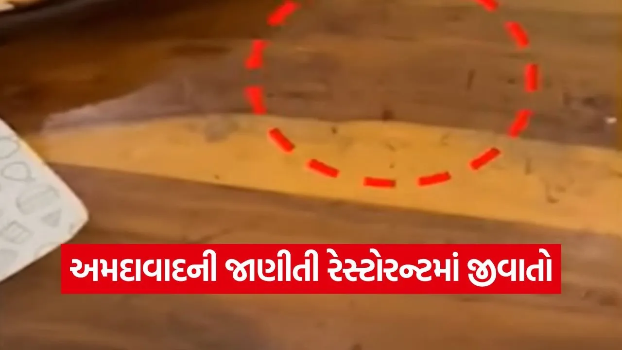 Ahmedabad restaurant hygiene violation 1.jpg