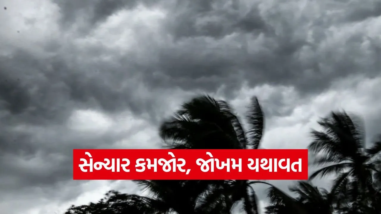 cyclone ditwah imd alert 1.jpg
