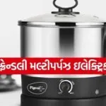 Multipurpose Electric Kettle