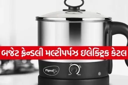 Multipurpose Electric Kettle