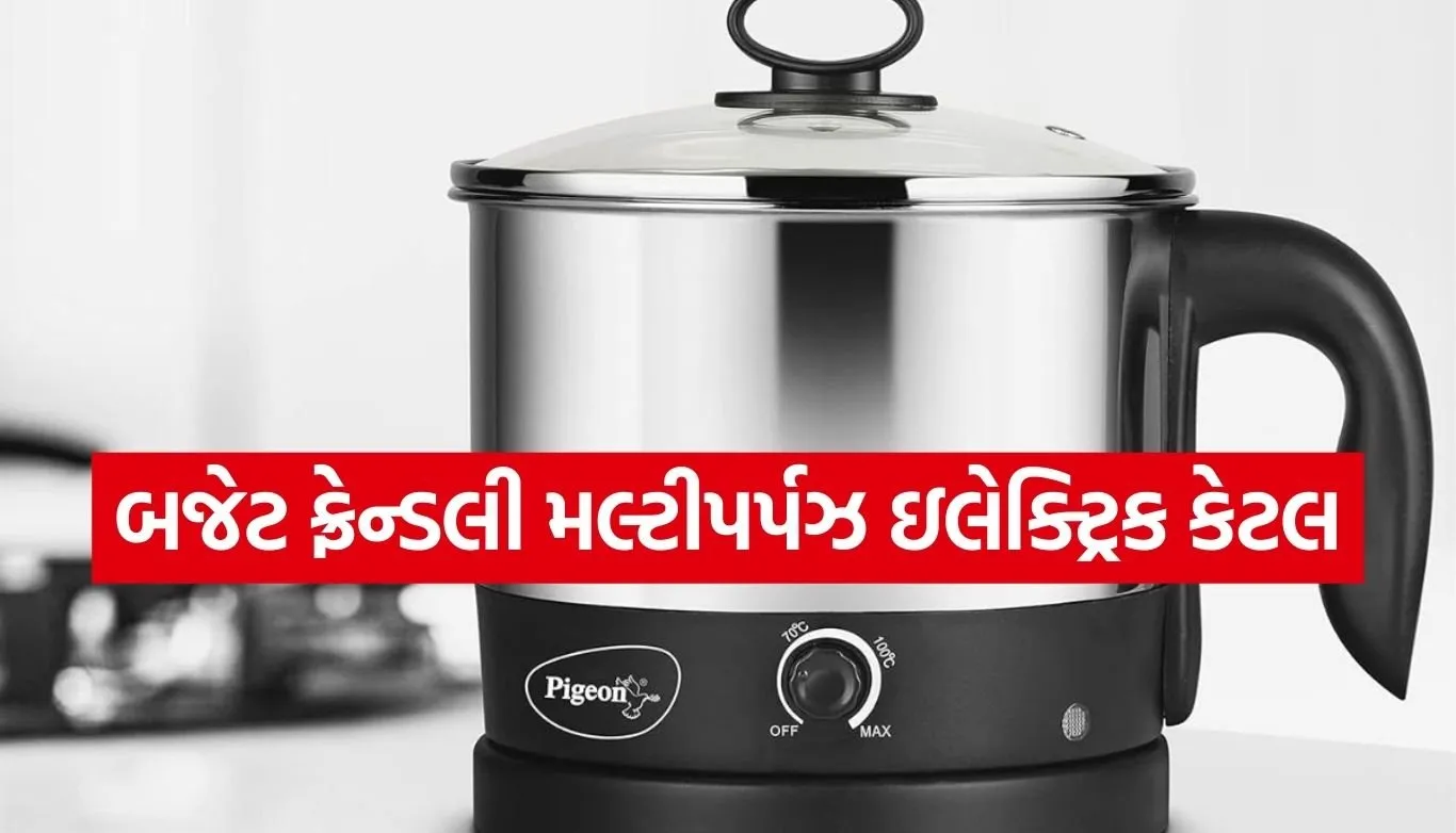 Multipurpose Electric Kettle