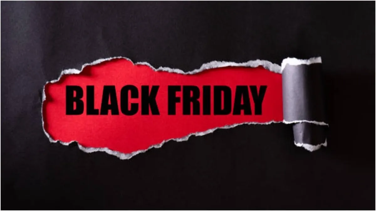 ભારતમાં Black Friday નો ક્રેઝ: વિદેશી પરંપરા કેવી રીતે બની વર્ષનો સૌથી મોટો ડિસ્કાઉન્ટ ફેસ્ટિવલ? 2 sale 1.jpg