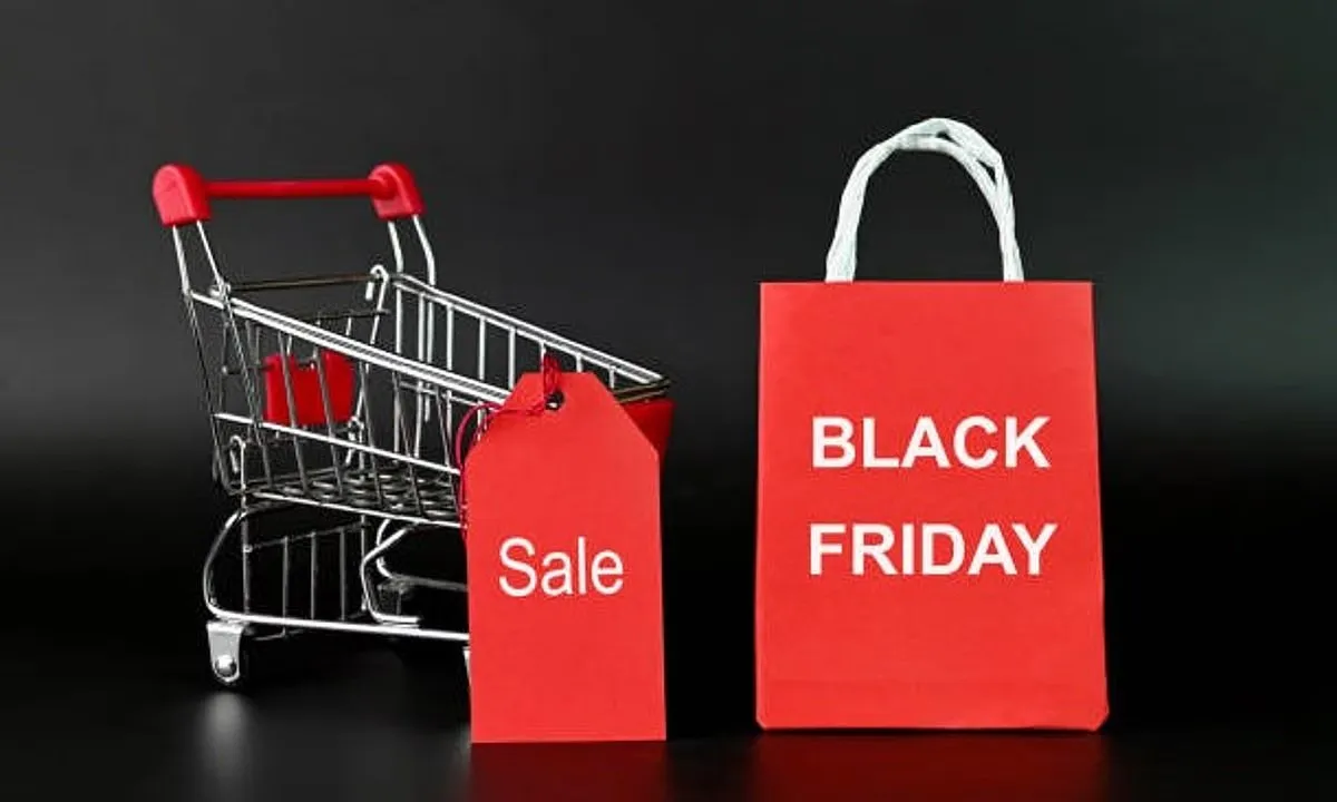 ભારતમાં Black Friday નો ક્રેઝ: વિદેશી પરંપરા કેવી રીતે બની વર્ષનો સૌથી મોટો ડિસ્કાઉન્ટ ફેસ્ટિવલ? 3 sale 12.jpg