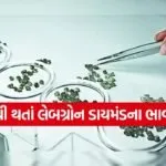 india 2025 11 28T163025.546