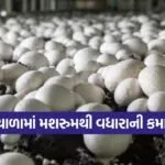 winter mushroom farming profit 1