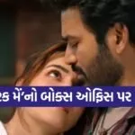 Tere Ishk Mein BO