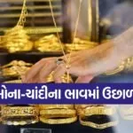 india 2025 11 29T110009.595