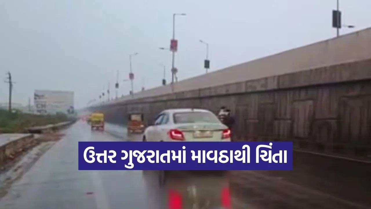 unseasonal rain gujarat news 1.jpg