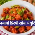 Soya Manchurian