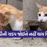biliu