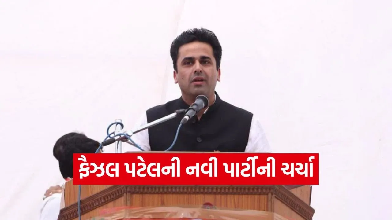 faisal patel new party gujarat 1.jpg