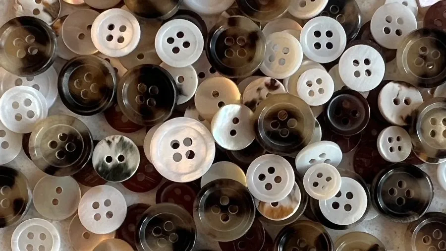 Video: શું તમે જાણો છો? પ્રાણીઓના હાડકાંમાંથી આ રીતે બનાવવામાં આવે છે કોટ અને શર્ટના બટન, જુઓ વાયરલ વીડિયો 2 button.jpg