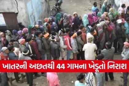 fertilizer shortage in Gujarat 1