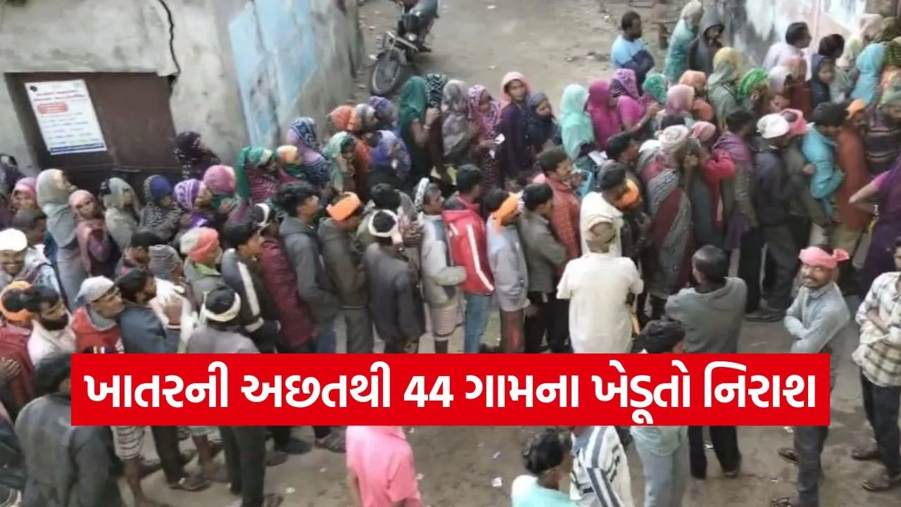 fertilizer shortage in Gujarat 1.jpg