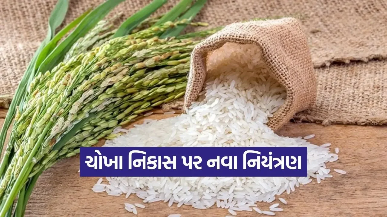 India Rice Export Policy 1.jpg