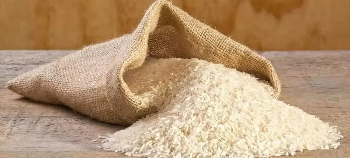 ભારતીય ચોખાનો વિશ્વભરમાં ડંકો: નિકાસમાં 20% નો ઉછાળો, જાણો ભારત કેવી રીતે બન્યું રાઈસ કિંગ 3 India Rice Export Policy 2.png