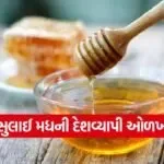 Mann Ki Baat Honey 1 Copy