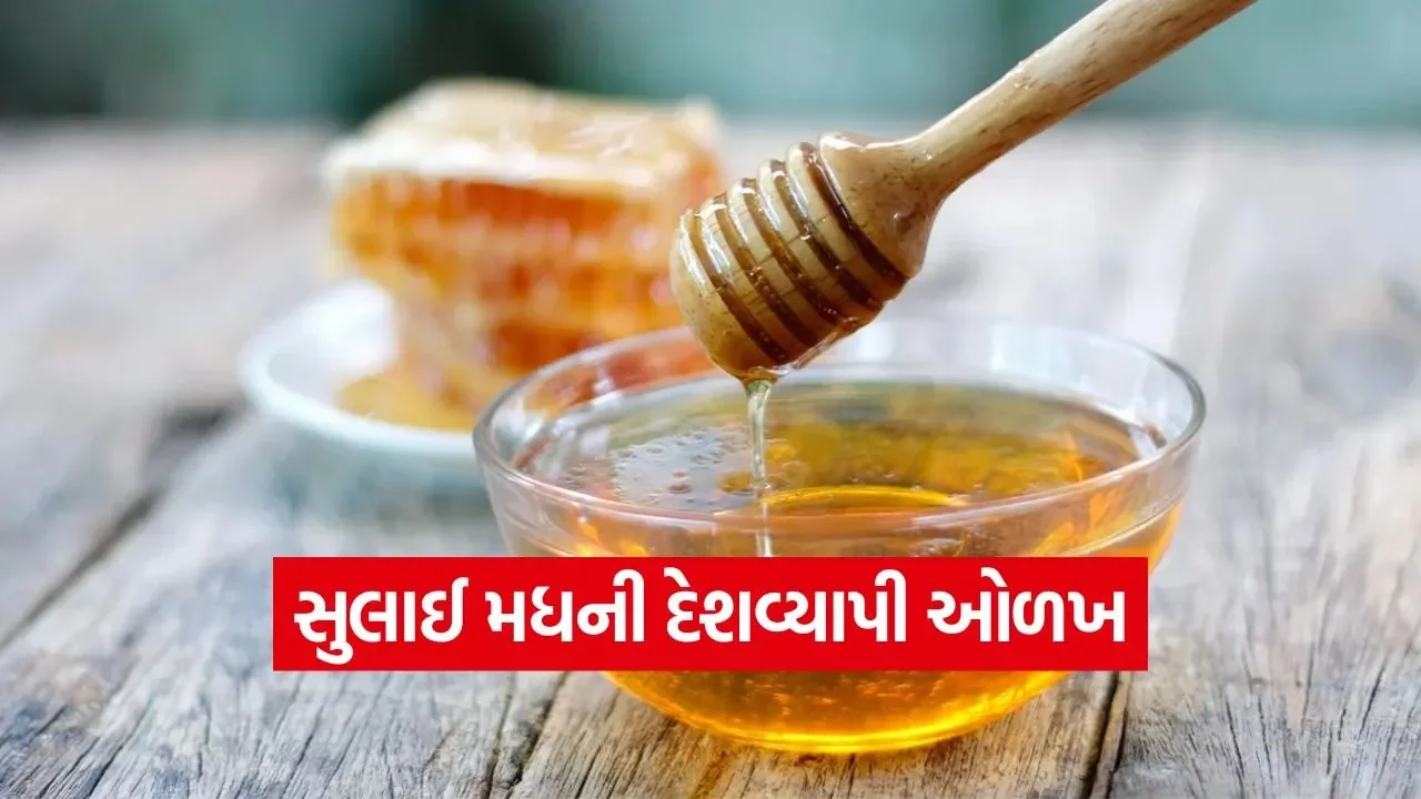 Mann Ki Baat Honey 1 Copy.jpg