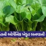 organic farming success story 1