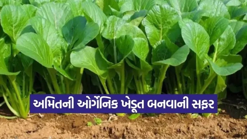 organic farming success story 1