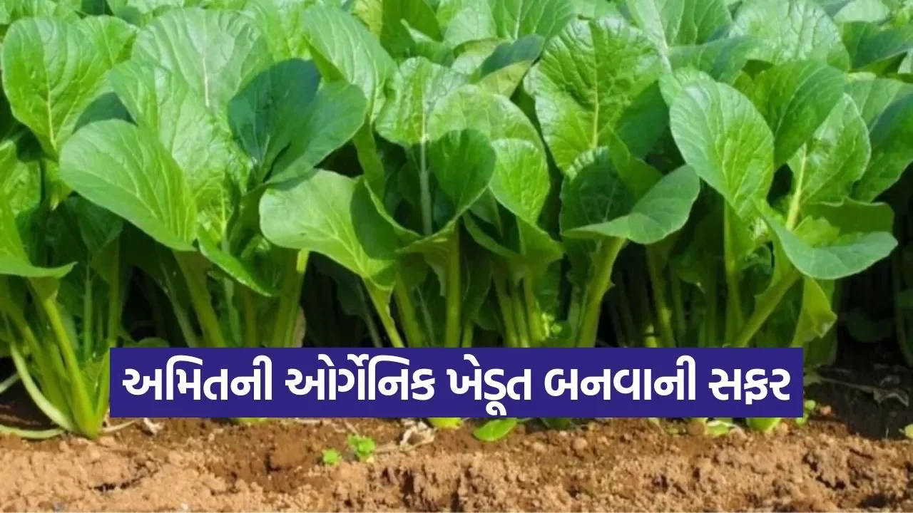 organic farming success story 1.jpg