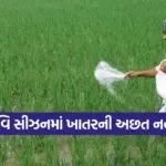 Gujarat Fertilizer Distribution 1