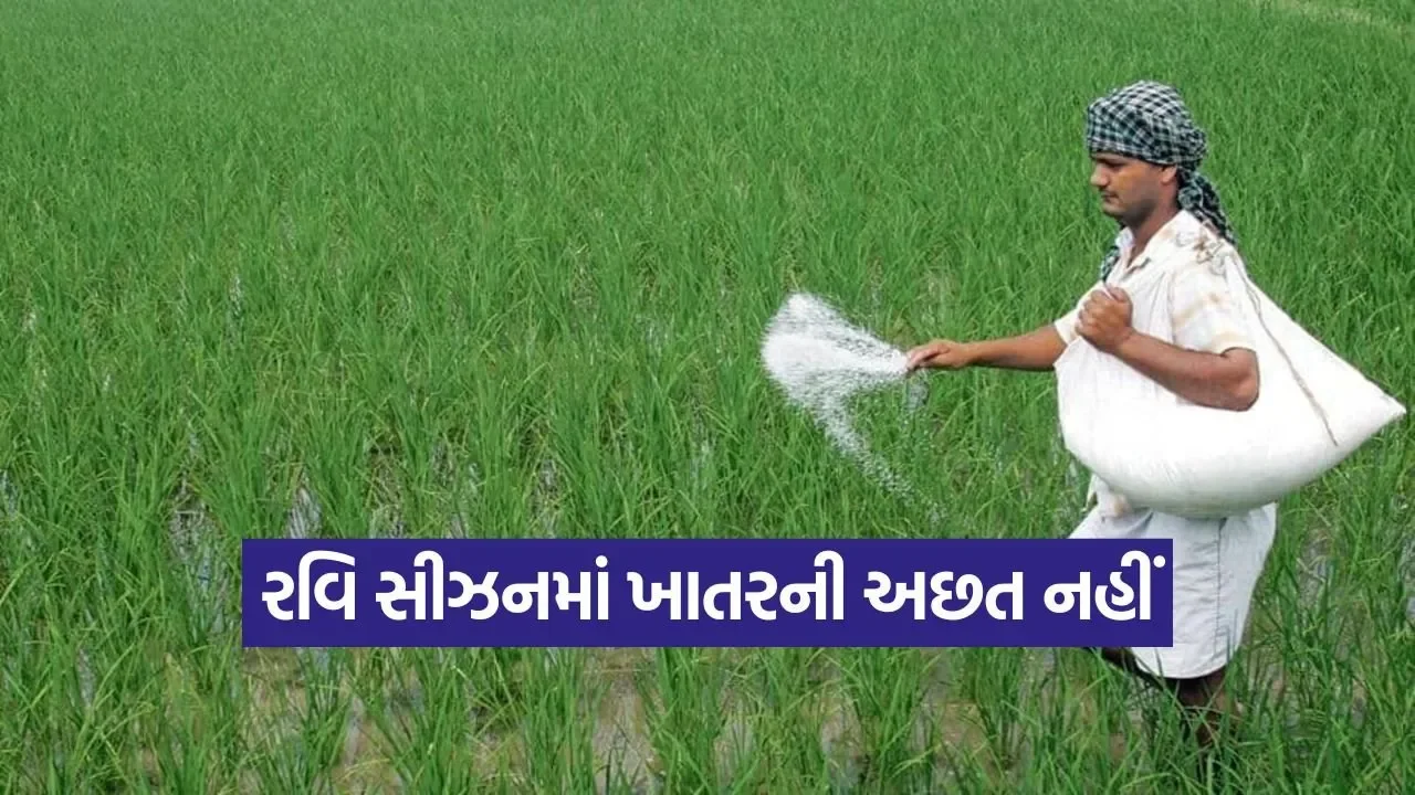 Gujarat Fertilizer Distribution 1.jpg