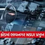 Cyber Fraud Bhavnagar Case 1