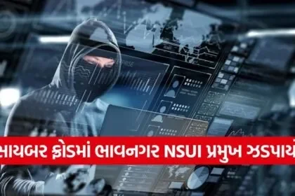Cyber Fraud Bhavnagar Case 1