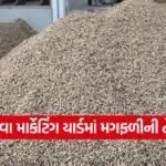 Mahuva Yard Market Price 1