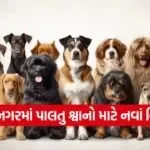 gandhinagar pet dog registration 1