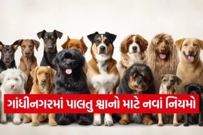 gandhinagar pet dog registration 1