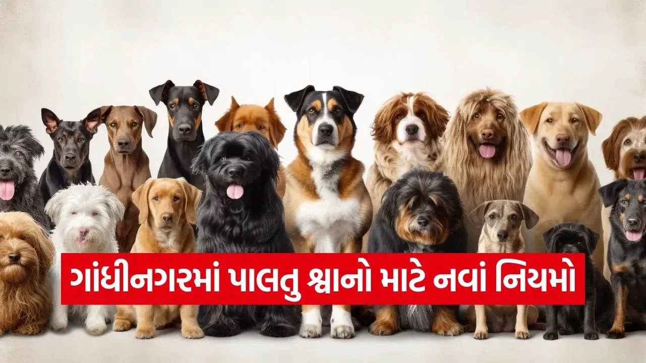 gandhinagar pet dog registration 1.jpg