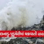 cyclone ditwah news 1