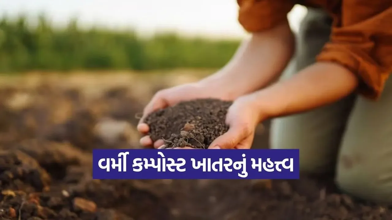 organic vermicompost farming 1.jpg