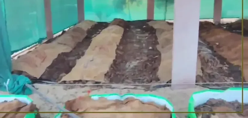 organic vermicompost farming 1.png