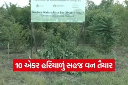 urban forest development jamnagar 1