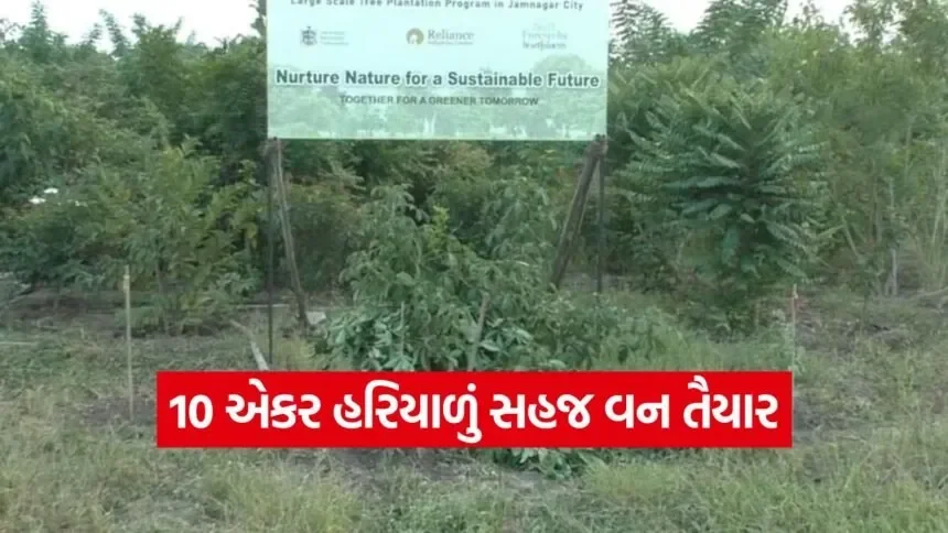urban forest development jamnagar 1