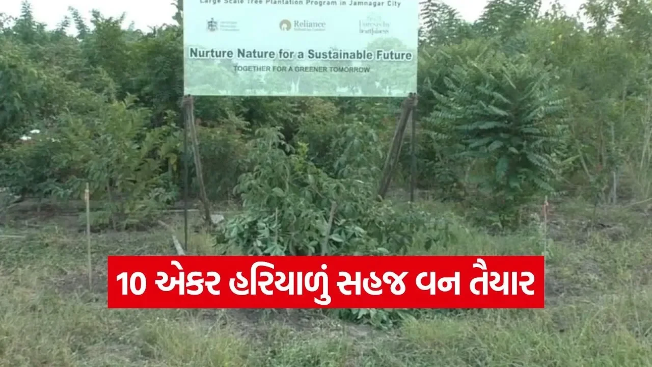 urban forest development jamnagar 1.jpg