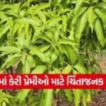 gir kesar keri season delay 1