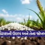 wheat crop potash benefits 1