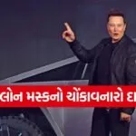 elon