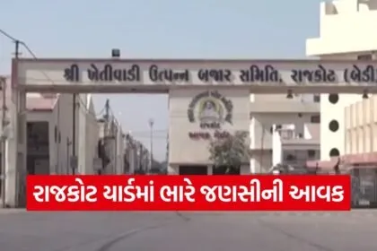 rajkot market prices today