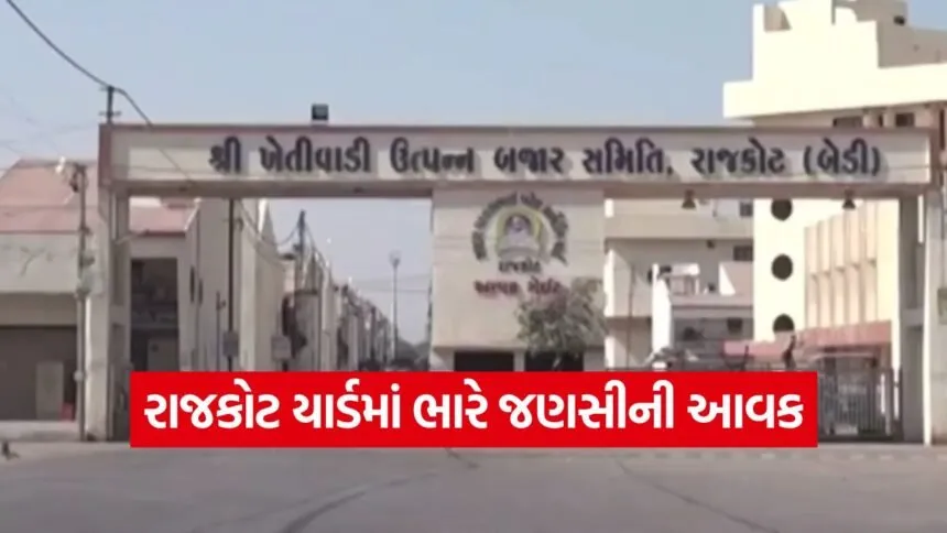 rajkot market prices today