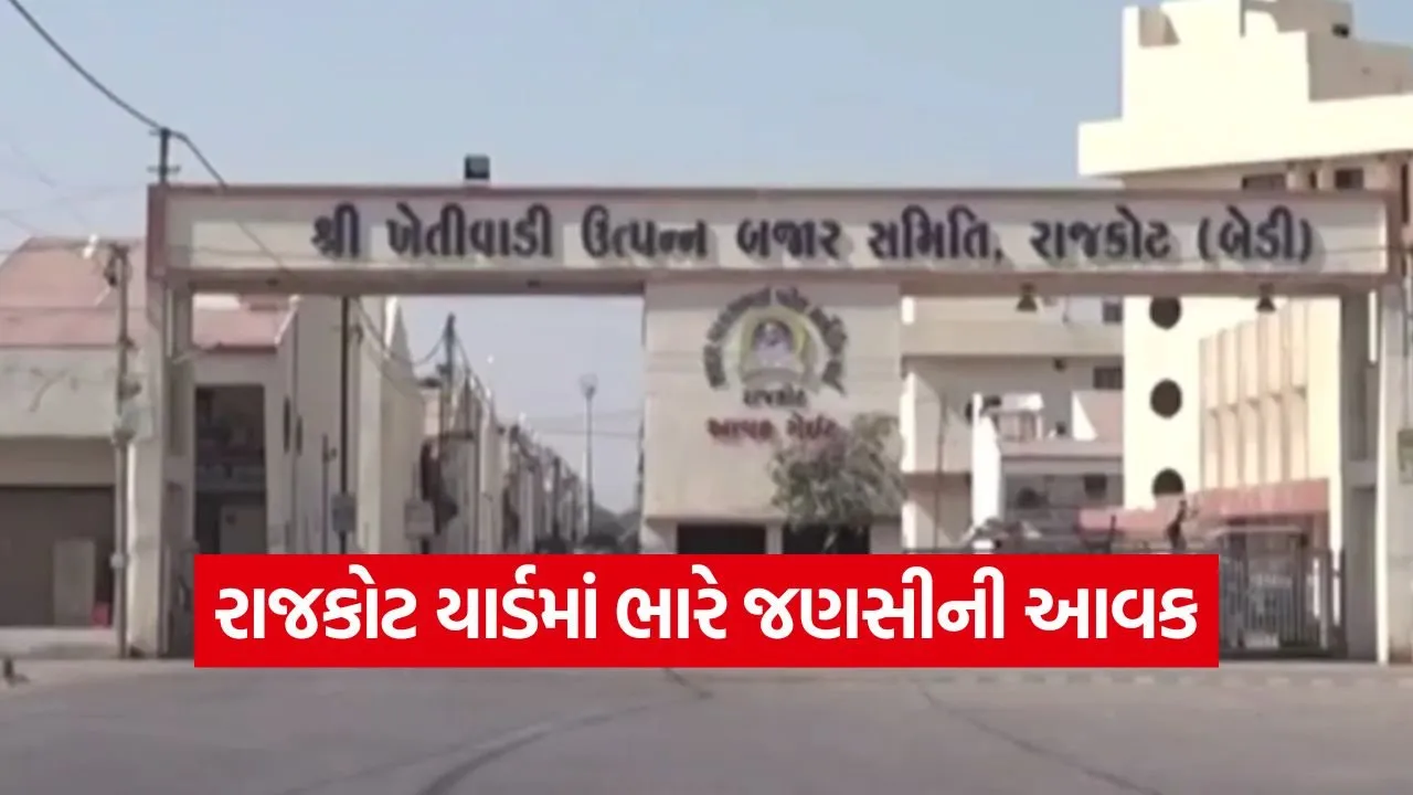 rajkot market prices today.jpg