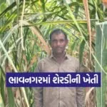 sugarcane cultivation bhavnagar 1
