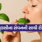 Tulsi