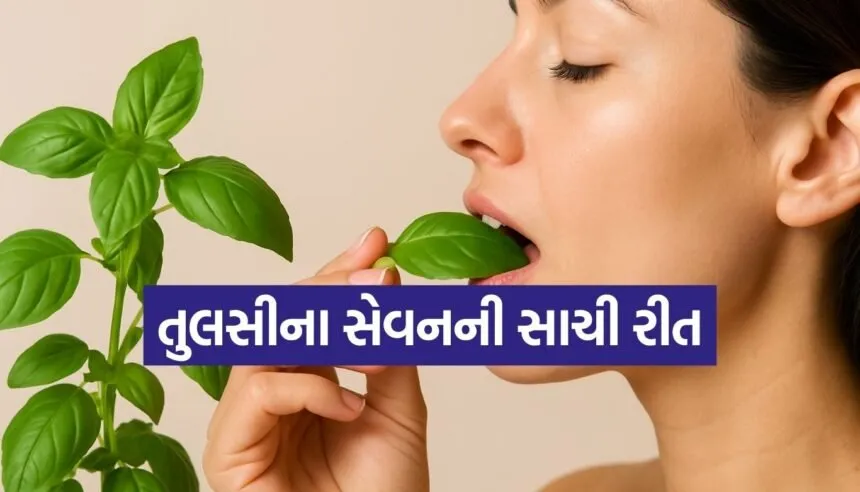 Tulsi