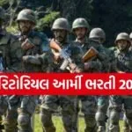 Territorial Army Recruitment